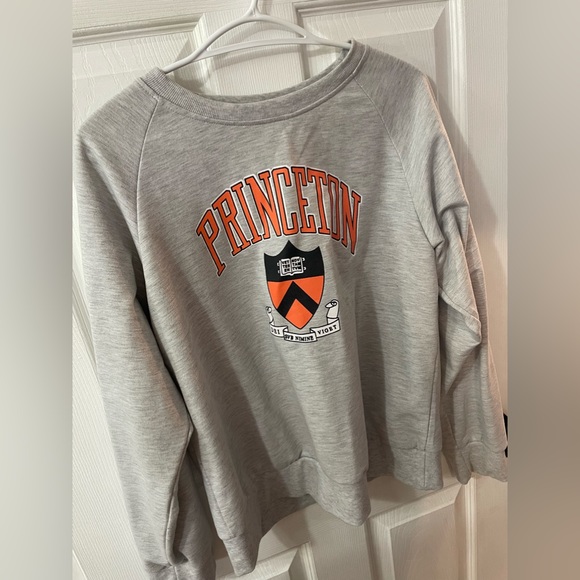 Grey Princeton Crewneck - Picture 1 of 3
